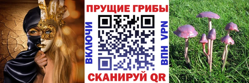 hydra ссылка  купить  сайты  Лабытнанги  Галлюциногенные грибы прущие грибы 